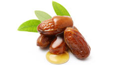 Jojoba Seed Oil